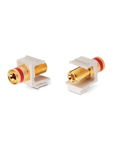 Вставка Hyperline (KJ1-BP/RD-HG-WH) в Прокопьевске Коннекторы Pintop.ru