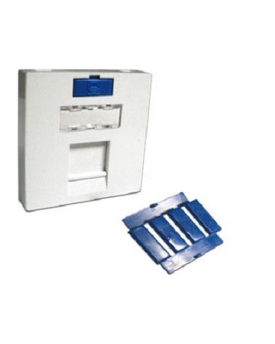 Вставка 45x45 на 1 кейстоун, угловая, со шторкой, маркировкой и иконками, белая LANMASTER LAN-SIP-23A-WH в Прокопьевске Аксессуары для кабель-канала Pintop.ru