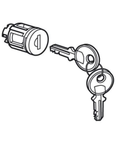 Цилиндр встроенный под ключ №405 Legrand 020291 в Прокопьевске Дополнительное оборудование для сетей Pintop.ru