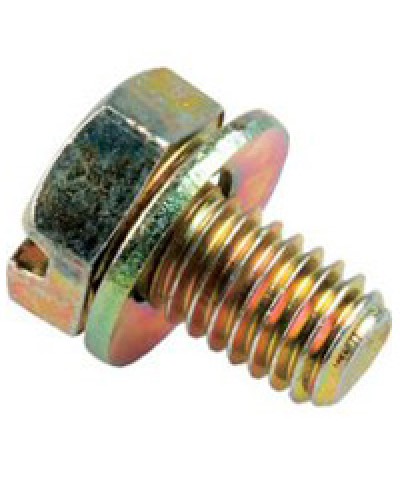 Винт с шайбой М6х10мм TH Legrand 036775 в Прокопьевске Крепеж Pintop.ru