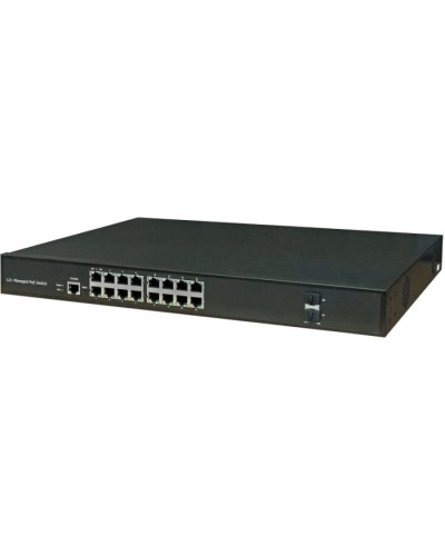 Коммутатор NSGate DAS-2G16GP (47P6018G) в Прокопьевске Коммутаторы Pintop.ru
