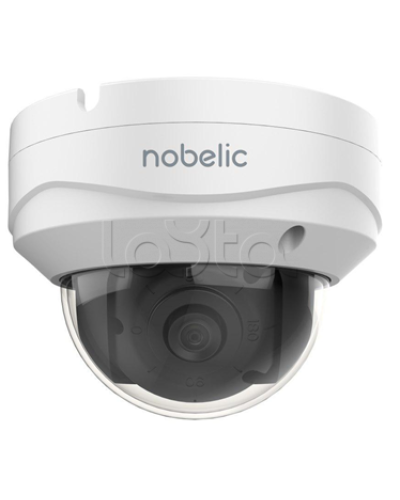 IP-камера в купольном исполнении Nobelic NBLC-2231F-ASDV3 в Прокопьевске IP-камеры Pintop.ru