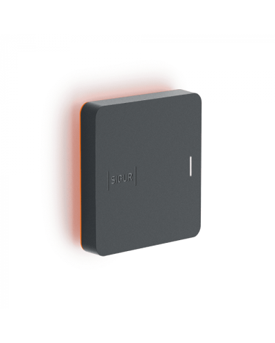 Считыватель SIGUR MR1 BLE в Прокопьевске Считыватели Pintop.ru