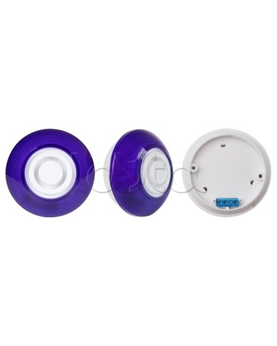 Оповещатель комбинированный SLT Марс 12-КП (строб, син) в Прокопьевске Оповещатели Pintop.ru