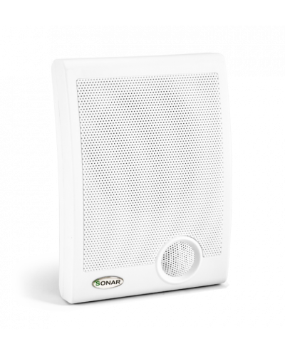 Громкоговоритель настенный Sonar SWP-110-105 в Прокопьевске Система оповещения и трансляции Sonar Pintop.ru