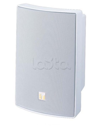 Громкоговоритель универсальный двухполосный TOA BS-1030W в Прокопьевске Системы оповещения и трансляции TOA Pintop.ru