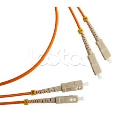 Патч-корд оптический TWT-2ST-2FC/SA-3.0