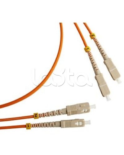 Патч-корд оптический TWT-2ST-2FC/SAU-5.0 в Прокопьевске Патч-корды оптические Pintop.ru