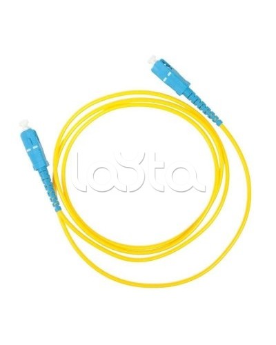 Патч-корд оптический TWT-SC-SC/SAU-1.5 в Прокопьевске Патч-корды оптические Pintop.ru