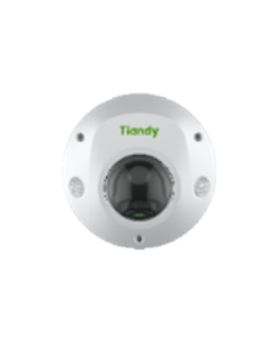 Купольная IP-камера Tiandy TC-C32PS Spec:I3/E/Y/M/H/4mm/V4.2 в Прокопьевске IP-камеры Pintop.ru