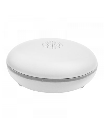 Датчик затопления Болид С2000Р-ДЗ исп.01 в Прокопьевске Охранно-пожарное оборудование Pintop.ru