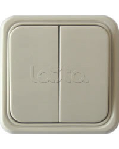 Выключатель двухклавишный открытой установки Экопласт, схема 5, (бежевый) в Прокопьевске Розетки компьютерные и телефонные Pintop.ru