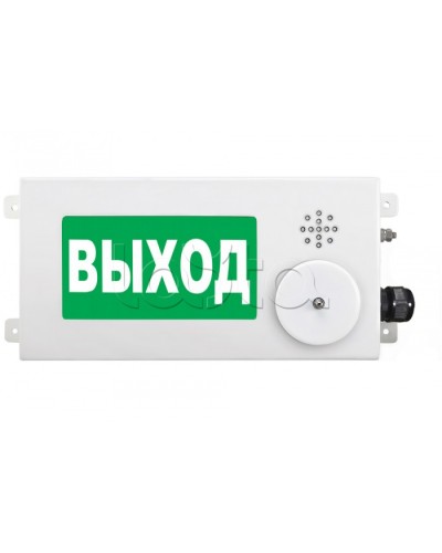 Табло световое взрывозащищенное Спектрон ТСВ-Exi-М-Прометей-МИНИ 12-36В в Прокопьевске Оповещатели Ex Pintop.ru