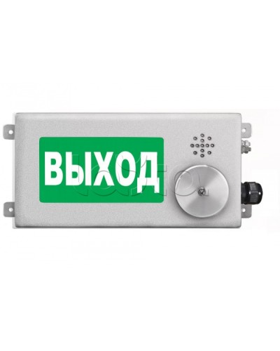 Табло световое взрывозащищенное Спектрон ТСВ-Exm-Н-Прометей-МИНИ 12-36В в Прокопьевске Оповещатели Ex Pintop.ru