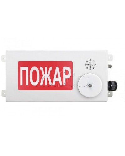 Табло светозвуковое взрывозащищенное Спектрон ТСЗВ-Exi-М-Прометей-МИНИ 12-36В в Прокопьевске Оповещатели Ex Pintop.ru