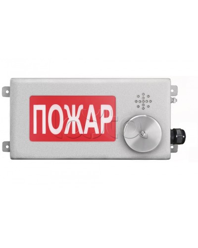 Табло светозвуковое взрывозащищенное Спектрон ТСЗВ-Exm-Н-Прометей-МИНИ 220В в Прокопьевске Оповещатели Ex Pintop.ru