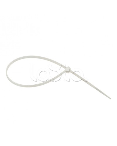 Хомут нейлоновый (3,6х250) (100шт.) EKF Basic (plc-c-3.6x250) в Прокопьевске Стяжки-хомуты Pintop.ru