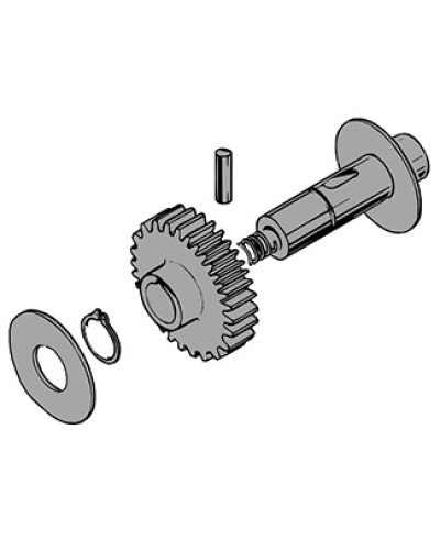Вал в сборе C100 Came 119RIC011 в Прокопьевске Запчасти для шлагбаумов и автоматики Pintop.ru