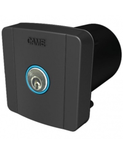 Ключ-выключатель встраиваемый Came 806SL-0020 в Прокопьевске Запчасти для шлагбаумов и автоматики Pintop.ru