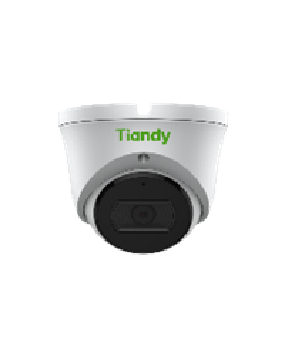 Уличная купольная IP-камера Tiandy TC-C32XN Spec:I3/E/Y/2.8mm/V4.1 в Прокопьевске IP-камеры Pintop.ru