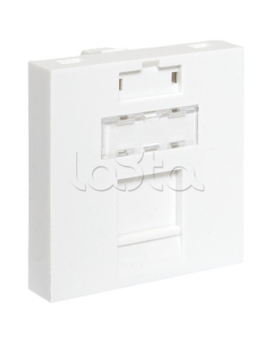 Вставка розеточная TERACOM PRO 45x45мм формат Mosaic на 1 модуль Keystone белая EKF (TRP-INS-MOS-2M1P-WH) в Прокопьевске Розетки компьютерные и телефонные Pintop.ru