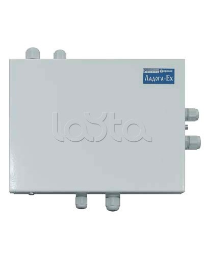 Блок расширения шлейфов сигнализации Риэлта БРШС-Ex в Прокопьевске Системы охраны взрывоопасных объектов Pintop.ru